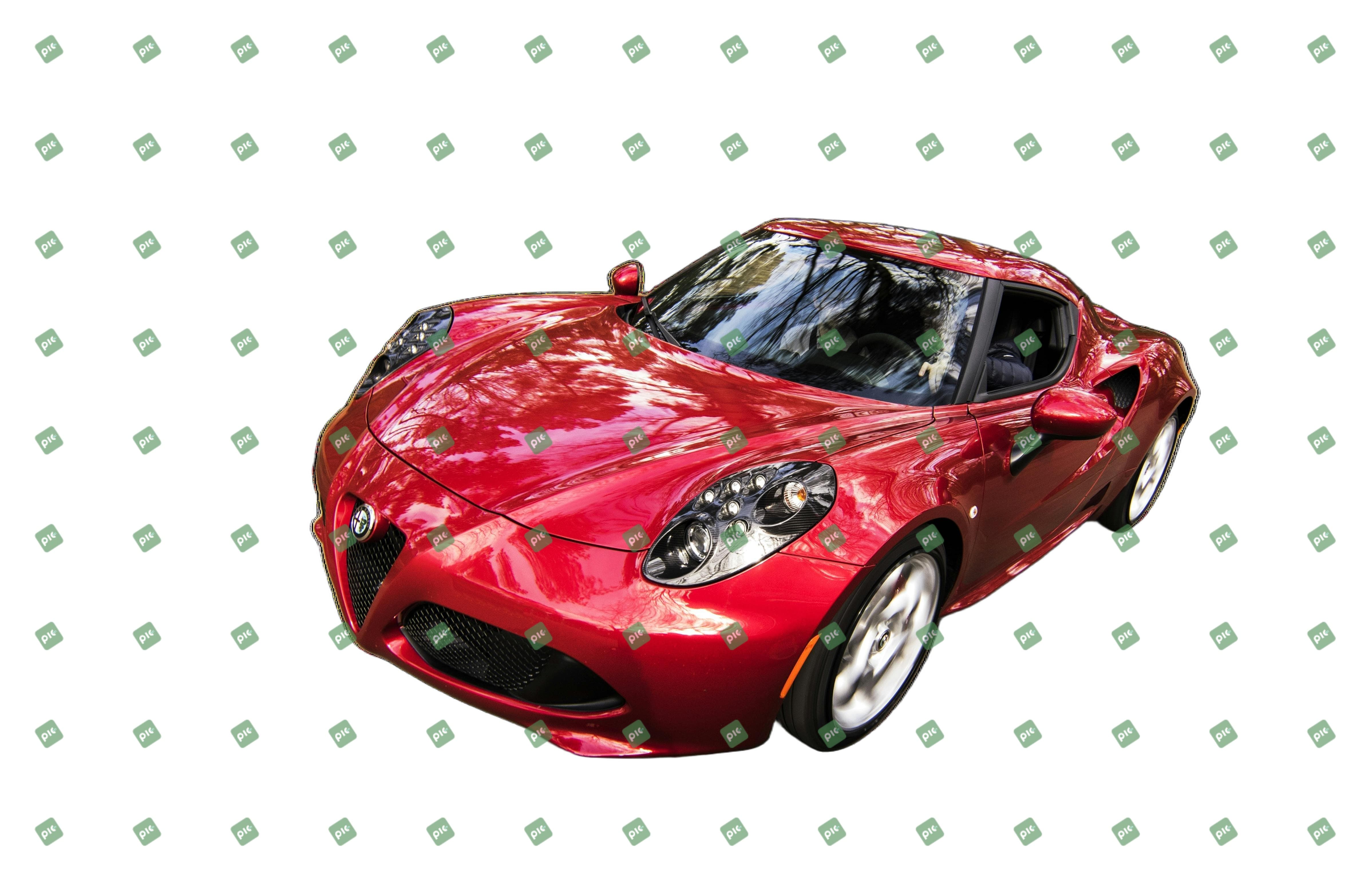 sections.batch_watermark.animation_text_after